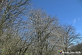 VBS_8841- Risvegli